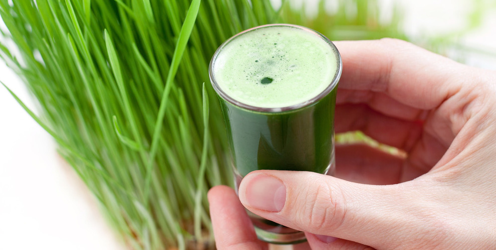 verre de jus d'herbe à côté d'une botte d'herbes fraîches
